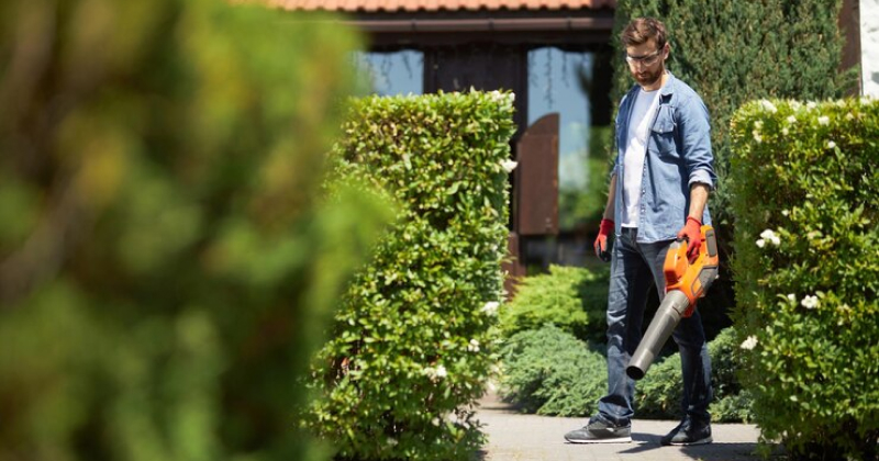 Legal Requirements for lawn business