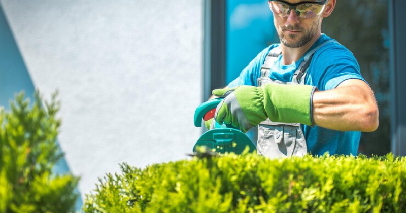 Lawn Care Business