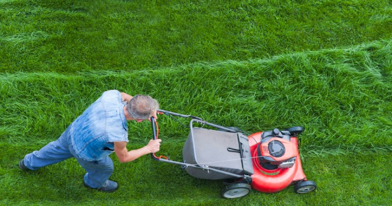 Lawn Care Business operation