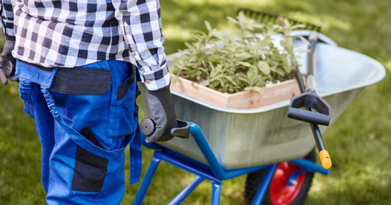 How To Start A Lawn Care Business: A Complete Guide - Wetest