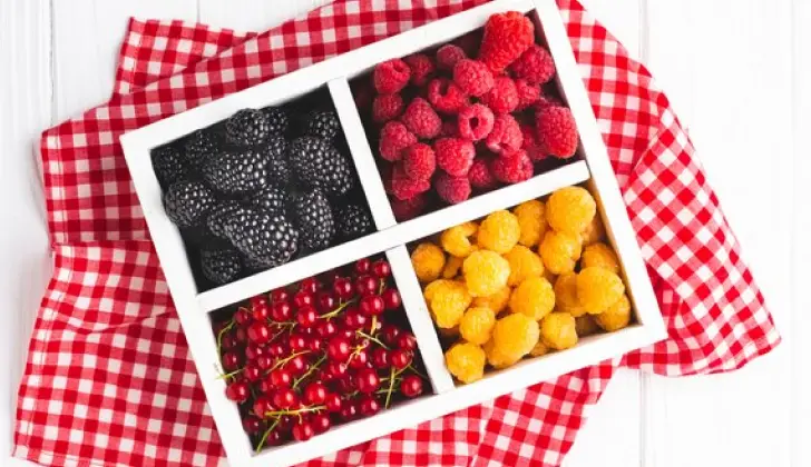 a Cranberry Crunch Snack Boxes