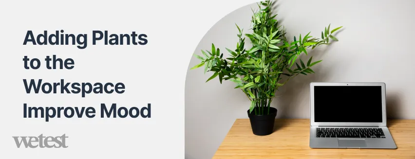 A plant on a work desk